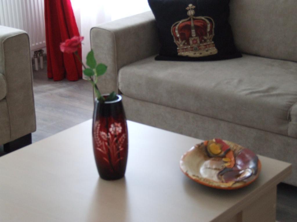 Anca Apartment 布拉索夫 外观 照片