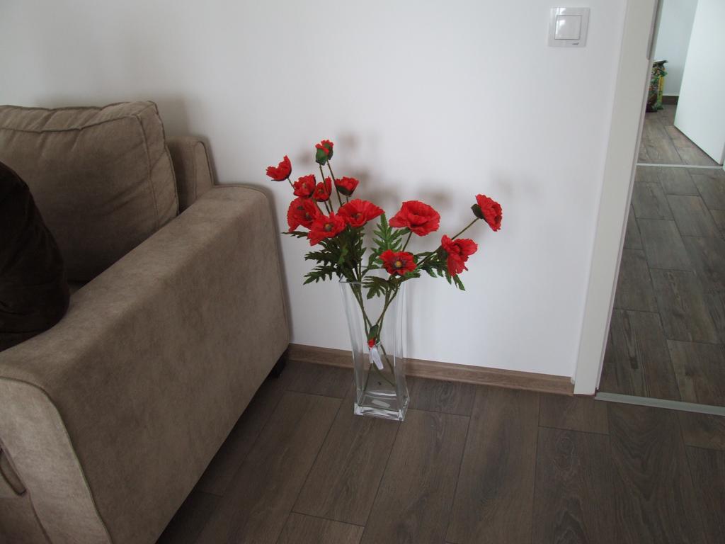 Anca Apartment 布拉索夫 外观 照片