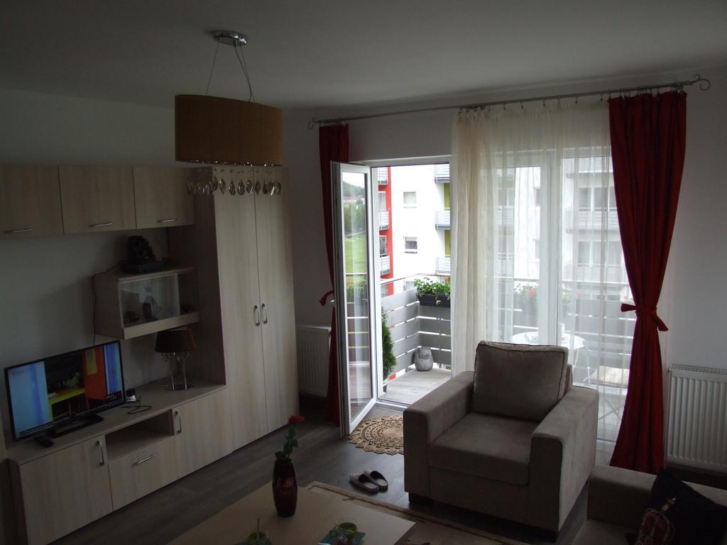 Anca Apartment 布拉索夫 外观 照片