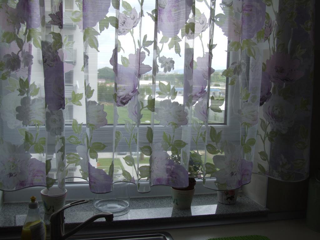 Anca Apartment 布拉索夫 外观 照片