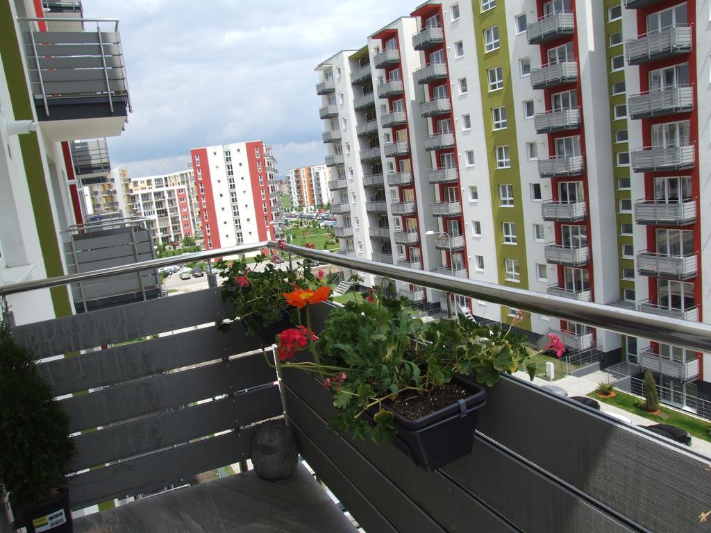 Anca Apartment 布拉索夫 外观 照片